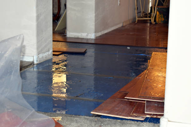 Professional Sewage Cleanup technician working in Durand, IL
